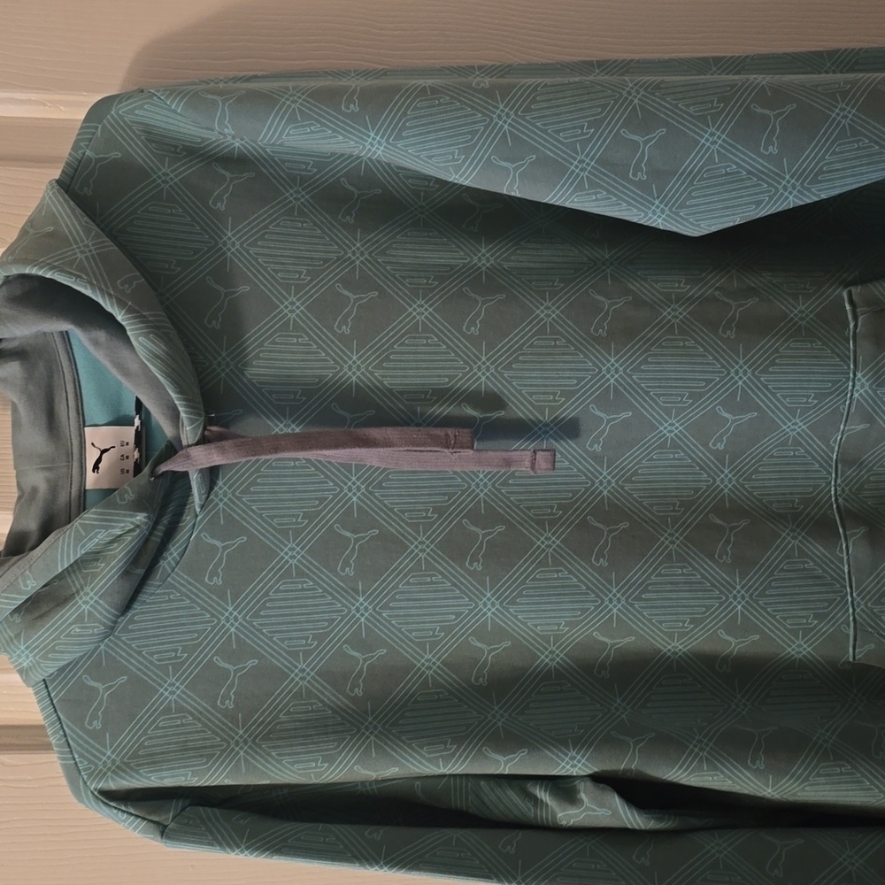 PUMA BRAND SIGNATURE MEN'S GREEN PULLOVER HOODIE SIZE MEDIUM
